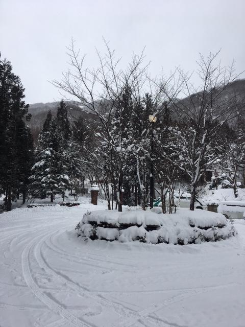 Wadano Forest & Hakuba