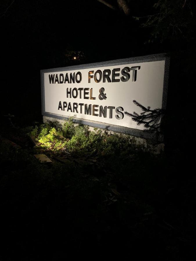 Wadano Forest & Hakuba